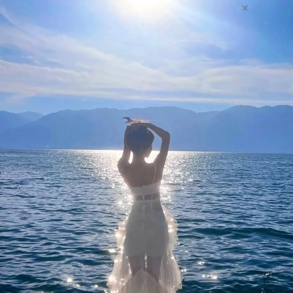 郡主回京全皇朝追着吃瓜